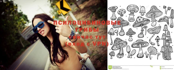 а пвп мука Ессентукская